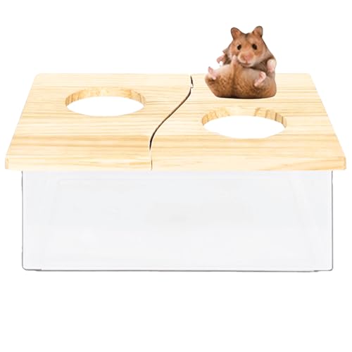 Hamster Sandbad Box Behälter, Hamsterbad Sand Rennmäuse Sandbad Hamster Staubbad, Hamster Katzentoilette Chinchilla Staubbad Hamster Zubehör (B) von Copfeu