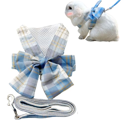 Kaninchengeschirr und Leine, verstellbares Hasengeschirr, ausbruchsicher, für Spaziergänge, Laufen, Wandern, Camping, Outdoor, niedliches Kleintiergeschirr-Set (Blau, Größe L) von Copfeu