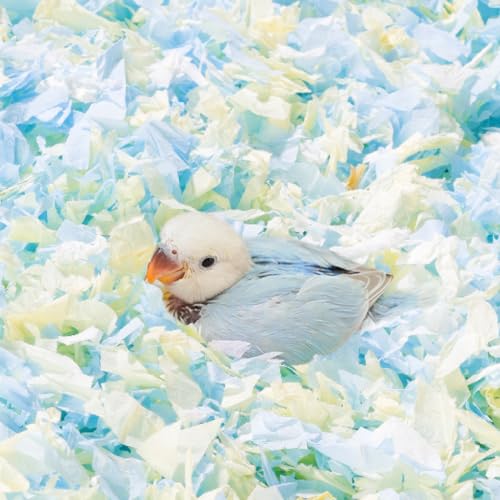 Kleintier-Bettwäsche für Vögel, gemütliches Nesting-Baumwollpapier, verbessert die Brutumgebung, geringe Staubgeruchskontrolle für Vögel, Papageien, Sittiche, Meerschweinchen, Kaninchen, Hamster, 0,4 von Copfeu