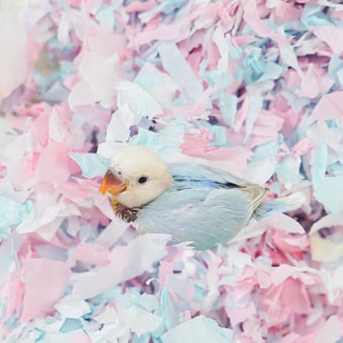 Kleintiereinstreu, gemütliches Nistmaterial für Vögel, Baumwollpapier, verbessert die Brutumgebung, geringe Staubgeruchskontrolle für Vögel, Papageien, Sittiche, Meerschweinchen, Kaninchen, Hamster Kleintiereinstreu, gemütliches Nistmaterial für Vögel, Baumwollpapier, verbessert die Brutumgebung, geringe Staubgeruchskontrolle für Vögel, Papageien, Sittiche, Meerschweinchen, Kaninchen, Hamster von Copfeu