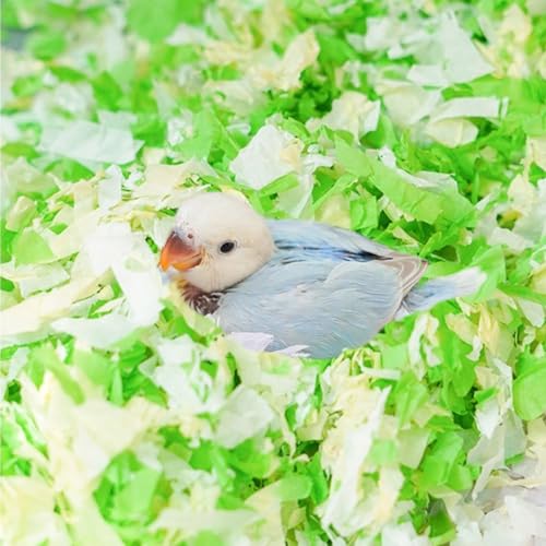 Kleintiereinstreu, gemütliches Nistmaterial für Vögel, Baumwollpapier, verbessert die Brutumgebung, geringe Staubgeruchskontrolle für Vögel, Papageien, Sittiche, Meerschweinchen, Kaninchen, Hamster Kleintiereinstreu, gemütliches Nistmaterial für Vögel, Baumwollpapier, verbessert die Brutumgebung, geringe Staubgeruchskontrolle für Vögel, Papageien, Sittiche, Meerschweinchen, Kaninchen, Hamster von Copfeu