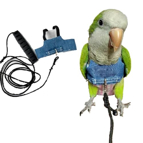 Vogelfluggeschirrweste, Papageienanzug mit Leine für Nymphensittiche, Wellensittiche, Lovebirds afrikanisches Grau, fliegende Kleidung Seil und Griff, Outdoor-Aktivitäten, Training (XX-Large) von Copfeu