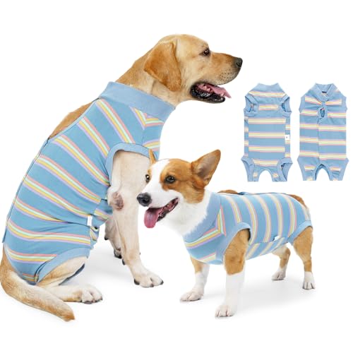 Hunde-Genesungsanzug, für Damen, Einteiler, chirurgischer Genesungsanzug für kleine, mittelgroße und große Hunde, Haustier-Genesungsshirt nach dem Spay Bauchwunden (Größe M) von Coppthinktu