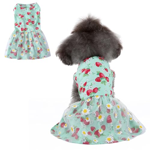 Hundekleid für kleine Haustiere, süße Hundeblume, weibliches Kleid, Welpenkleid, Sommer, Haustier-Prinzessinnenkleid, Katzenbekleidung, Hundekleider für kleine Hunde, Katzen, Mädchen von Coppthinktu