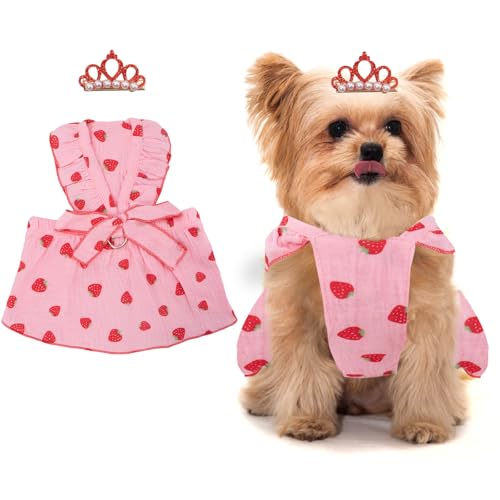 Hundekleider für kleine Hunde und Mädchen, Welpenkleid, Erdbeerdruck, Katzenkleid, Sommerkleidung, Schleife, Rock mit Krone, Haarspange, kleine Hundekleider, weibliche Katzenkleidung, Urlaub Hundekleider für kleine Hunde und Mädchen, Welpenkleid, Erdbeerdruck, Katzenkleid, Sommerkleidung, Schleife, Rock mit Krone, Haarspange, kleine Hundekleider, weibliche Katzenkleidung, Urlaub von Coppthinktu