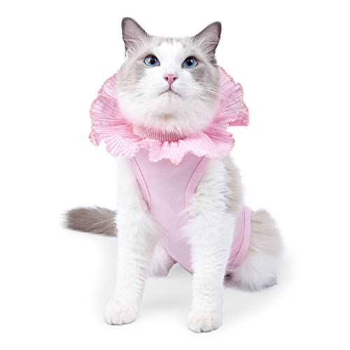 Katzen-Genesungsanzug für Bauchwunden, Katzen-Einteiler für Katzen nach Operationen, Katzen-Operationen, Kätzchen-Genesungsanzug nach Operationen, Tragen Anti-Lecken Wunden von Coppthinktu
