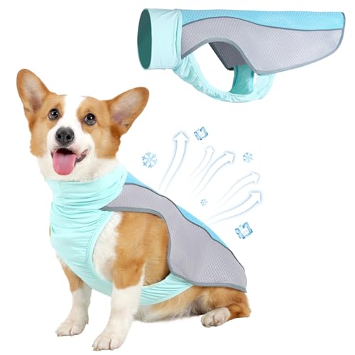 Kühlweste für den Sommer, atmungsaktives Mesh-Kühl-Shirt, Jacke für Hunde, Wärmeentlastung, leichtes kühlendes Hundegeschirr, Haustier-Kühlanzug für Outdoor, Wandern, Spazierengehen, heißes Wetter Kühlweste für den Sommer, atmungsaktives Mesh-Kühl-Shirt, Jacke für Hunde, Wärmeentlastung, leichtes kühlendes Hundegeschirr, Haustier-Kühlanzug für Outdoor, Wandern, Spazierengehen, heißes Wetter von Coppthinktu