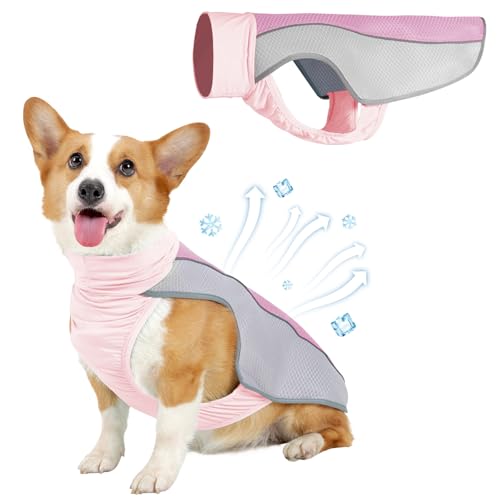 Kühlweste für den Sommer, atmungsaktives Mesh-Kühl-Shirt, Jacke für Hunde, Wärmeentlastung, leichtes kühlendes Hundegeschirr, Haustier-Kühlanzug für Outdoor, Wandern, Spazierengehen, heißes Wetter Kühlweste für den Sommer, atmungsaktives Mesh-Kühl-Shirt, Jacke für Hunde, Wärmeentlastung, leichtes kühlendes Hundegeschirr, Haustier-Kühlanzug für Outdoor, Wandern, Spazierengehen, heißes Wetter von Coppthinktu