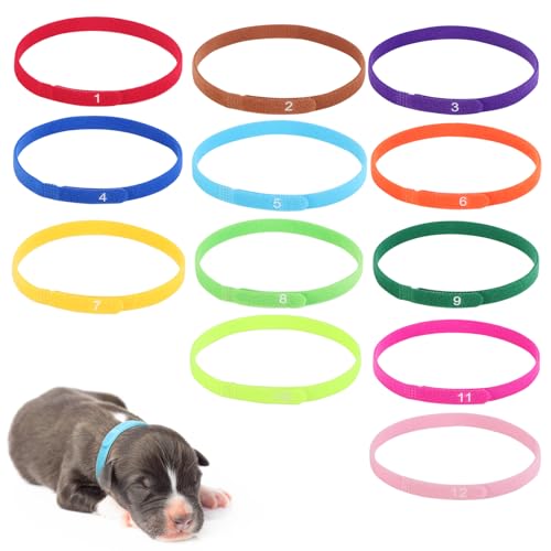 Coptiner 12 Stück Welpenhalsband Kitten Halsbänder Welpen ID Halsbänder Mehrfarbiges Nylon Neugeborene Haustierhalsbänder für züchter Einstellbar Identifikationsbänder für Neugeborene Haustiere(35cm) von Coptiner