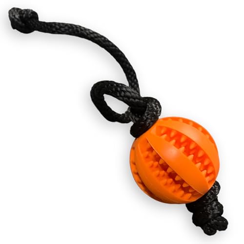 Interaktiver Hundeball mit Seil 2 in 1: sicher, lustig und gesund. Kleine und mittelgroße Hunde (orange) von Cordas Dreams