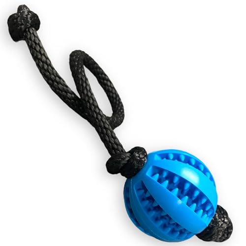 Interaktiver Hundeball mit Seil 2 in 1: sicher, lustig und gesund. Kleine und mittelgroße Hunde (blau) von Cordas Dreams