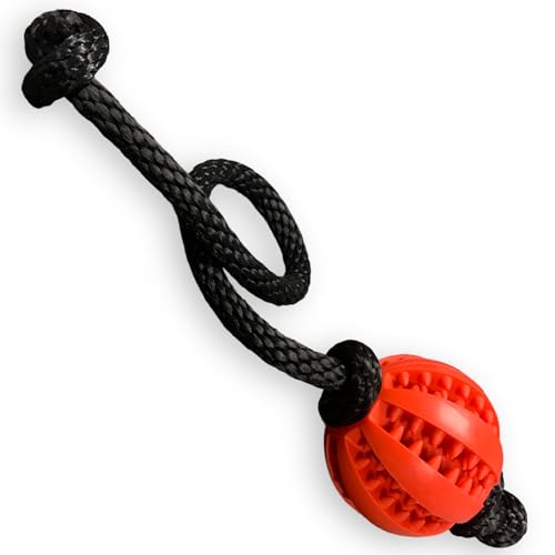 Interaktiver Hundeball mit Seil 2 in 1: sicher, lustig und gesund. Kleine und mittelgroße Hunde (Rot) von Cordas Dreams