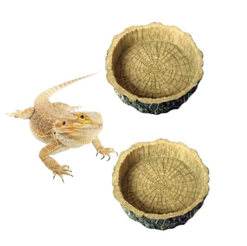 Wasser- und Futternäpfe für Reptilien, Ecknapf für Reptilien, geeignet für Bartagamen, Eidechsen, Spinnen, Skorpione, Geckoschildkröten, Einsiedlerkrebse usw., 2 Stück Wasser- und Futternäpfe für Reptilien, Ecknapf für Reptilien, geeignet für Bartagamen, Eidechsen, Spinnen, Skorpione, Geckoschildkröten, Einsiedlerkrebse usw., 2 Stück von Corkwaw