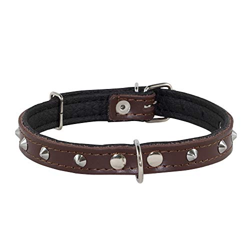 Corspet™ Echtes Leder Hundehalsband, Nieten Halsband Hund, Handgefertigt in der EU, weich gepolstert doppelseitig verstellbares Halsband | Hunde Halsbänder für Welpen & kleine Hunde [31-38 cm] Braun von Corspet