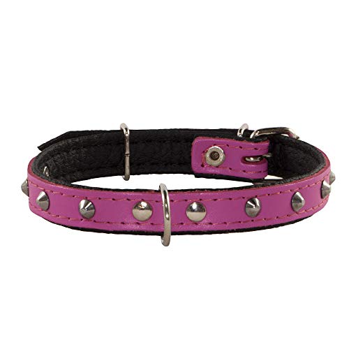 Corspet™ Echtes Leder Hundehalsband, Nieten Halsband Hund, Handgefertigt in der EU, weich gepolstert doppelseitig verstellbares Halsband | Hunde Halsbänder für Welpen & kleine Hunde [31-38 cm] Rosa von Corspet