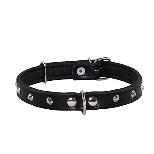 Corspet™ Echtes Leder Hundehalsband, Nieten Halsband Hund, Handgefertigt in der EU, weich gepolstert doppelseitig verstellbares Halsband | Hunde Halsbänder für Welpen & kleine Hunde [31-38 cm] Schwarz von Corspet