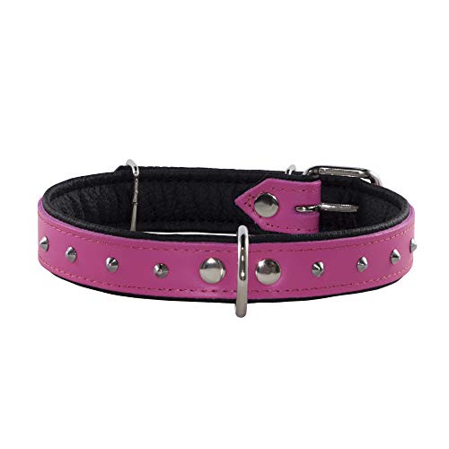 Corspet™ Echtes Leder Hundehalsband, Nieten Halsband Hund, Handgefertigt in der EU, weich gepolstert doppelseitig verstellbares Halsband | Hunde Halsbänder für große & Extra groß [46-57 cm] Rosa von Corspet