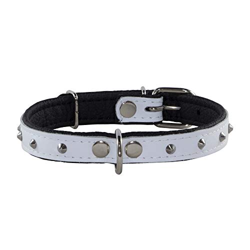 Corspet™ Echtes Leder Hundehalsband, Nieten Halsband Hund, Handgefertigt in der EU, weich gepolstert doppelseitig verstellbares Halsband | Hunde Halsbänder für kleine & mittelgroße [39-47 cm] Weiß von Corspet