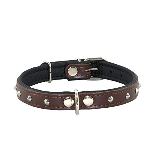 Corspet™ Echtes Leder Hundehalsband, Nieten Halsband Hund, Handgefertigt in der EU, weich gepolstert doppelseitig verstellbares Halsband | Hunde Halsbänder für kleine & mittelgroße [39-47 cm] Braun von Corspet