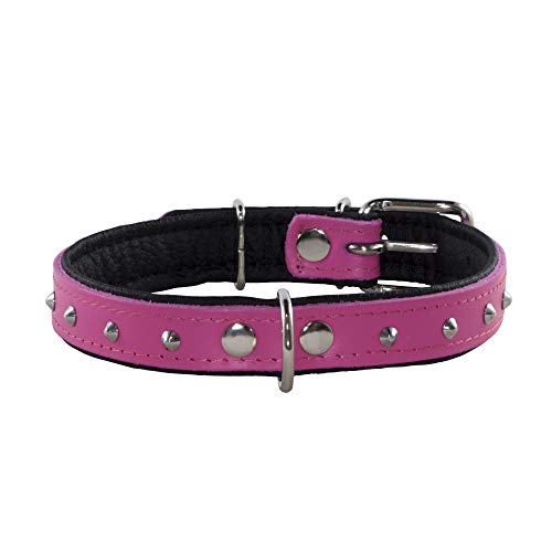 Corspet™ Echtes Leder Hundehalsband, Nieten Halsband Hund, Handgefertigt in der EU, weich gepolstert doppelseitig verstellbares Halsband | Hunde Halsbänder für mittelgroße & große [43-52 cm] Rosa von Corspet