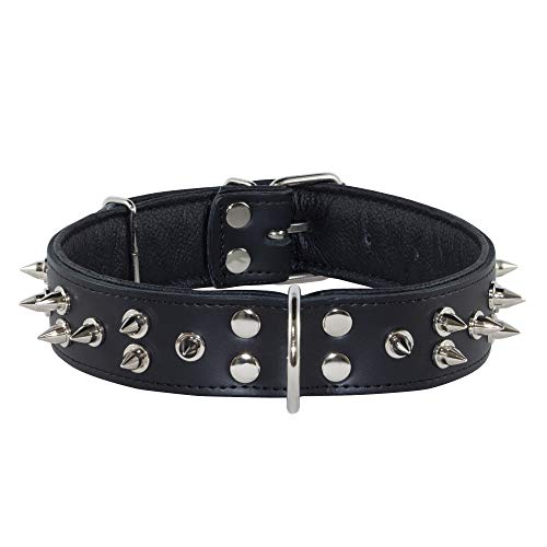 Corspet Vollnarbiges Nappaleder Hundehalsband, Stachelhalsband Hund, Leder Hunde Halsband mit silbervernickelten Nieten, Weiches Lederpolster, strapazierfähig für große bis sehr große Hunde, Schwarz Corspet Vollnarbiges Nappaleder Hundehalsband, Stachelhalsband Hund, Leder Hunde Halsband mit silbervernickelten Nieten, Weiches Lederpolster, strapazierfähig für große bis sehr große Hunde, Schwarz von Corspet