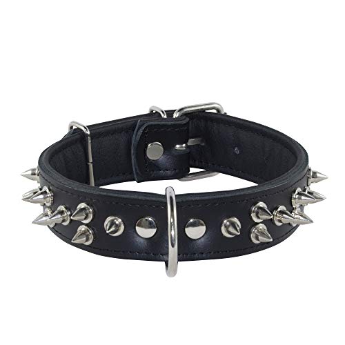Corspet Vollnarbiges Nappaleder Hundehalsband, Stachelhalsband Hund, Leder Hunde Halsband mit silbervernickelten Nieten, Weiches Lederpolster, strapazierfähig für große bis sehr große Hunde, Schwarz Corspet Vollnarbiges Nappaleder Hundehalsband, Stachelhalsband Hund, Leder Hunde Halsband mit silbervernickelten Nieten, Weiches Lederpolster, strapazierfähig für große bis sehr große Hunde, Schwarz von Corspet