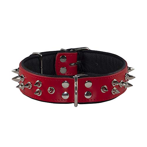 Corspet Vollnarbiges Nappaleder Hundehalsband, Stachelhalsband Hund, Leder Hunde Halsband mit silbervernickelten Nieten, Weiches Lederpolster, strapazierfähig für große bis sehr große Hunde, Rot Corspet Vollnarbiges Nappaleder Hundehalsband, Stachelhalsband Hund, Leder Hunde Halsband mit silbervernickelten Nieten, Weiches Lederpolster, strapazierfähig für große bis sehr große Hunde, Rot von Corspet
