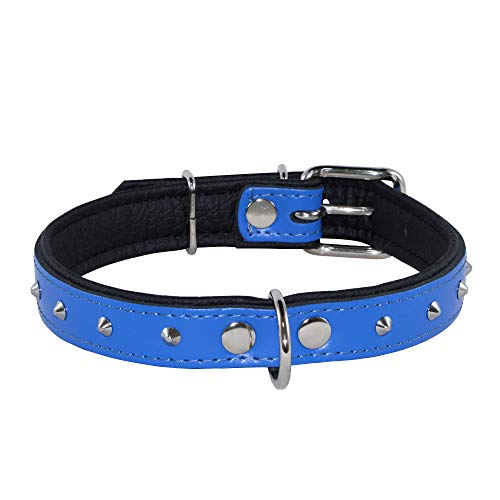 Corspet™ Echtes Leder Hundehalsband, Nieten Halsband Hund, Handgefertigt in der EU, weich gepolstert doppelseitig verstellbares Halsband | Hunde Halsbänder für mittelgroße & große [43-52 cm] Blau von Corspet