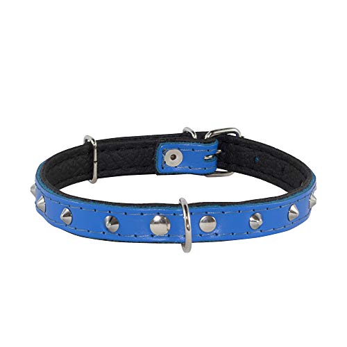 Corspet™ Echtes Leder Hundehalsband, Nieten Halsband Hund, Handgefertigt in der EU, weich gepolstert doppelseitig verstellbares Halsband | Hunde Halsbänder für Welpen & kleine Hunde [31-38 cm] Blau von Corspet