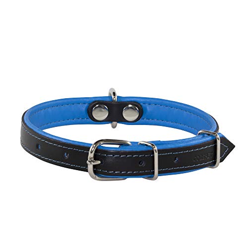 Corspet™ Echtes Leder Hundehalsband, weich gepolstertes doppelseitiges Halsband Hund, Langlebige Hunde Halsbänder für kleine & mittelgroße Hunde, Handgefertigt in der EU [35-46 cm] Blau von Corspet