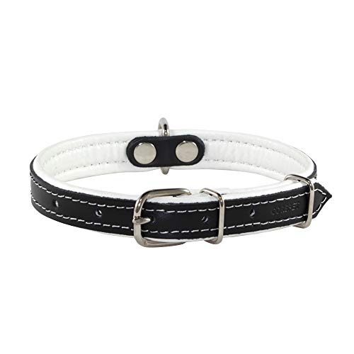 Corspet™ Echtes Leder Hundehalsband, weich gepolstertes doppelseitiges Halsband Hund, Langlebige Hunde Halsbänder für kleine & mittelgroße Hunde, Handgefertigt in der EU [35-46 cm] Weiß von Corspet