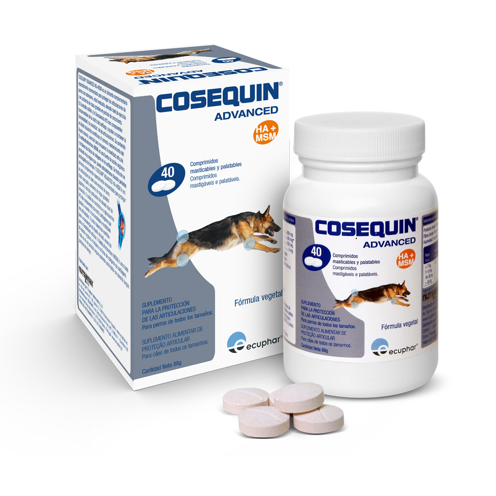 Cosequin Advance Hund - 40 Tabletten Cosequin Advance Hund - 40 Tabletten von Cosequin