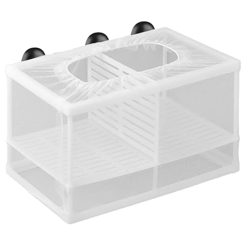 1 x Zuchtbox für Aquarien, Fischzuchtbox, Aquarium, Baby-Fischtrenner für Aquarien, mit Saugnäpfen und Trennwänden, Isolierbox, Kaulquappe, Tank für Babyfische, Betta-Garnelen (L) von Cosiesnest