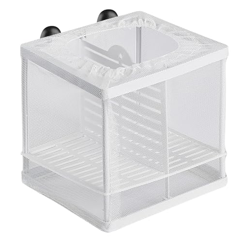 1 x Zuchtbox für Aquarien, Fischzuchtbox, Aquarium, Baby-Fischtrenner für Aquarien, mit Saugnäpfen und Trennwänden, Isolierbox, Kaulquappe, Tank für Babyfische, Betta-Garnelen (M) von Cosiesnest