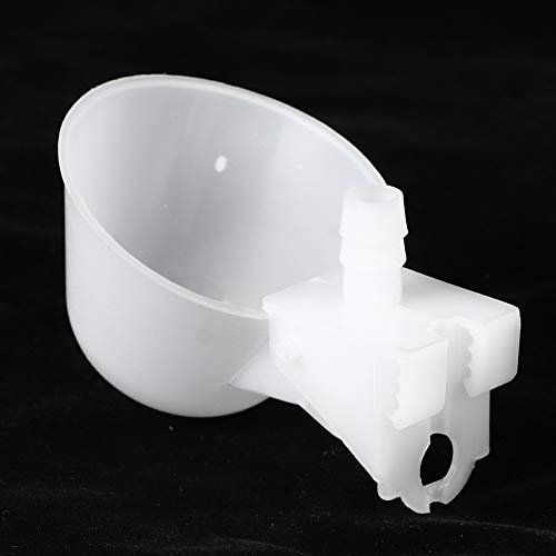 Cosiki Hühnerwasserer, Hühnerwasserbecher Hühnchen -Wasser -System 12 Stcs Vogel Automatisch Trinken Hängebecher Hühnerfutter für Ente, Küken, Gans, Truthahn, Hasenfutterausrüstung Cosiki Hühnerwasserer, Hühnerwasserbecher Hühnchen -Wasser -System 12 Stcs Vogel Automatisch Trinken Hängebecher Hühnerfutter für Ente, Küken, Gans, Truthahn, Hasenfutterausrüstung von Cosiki