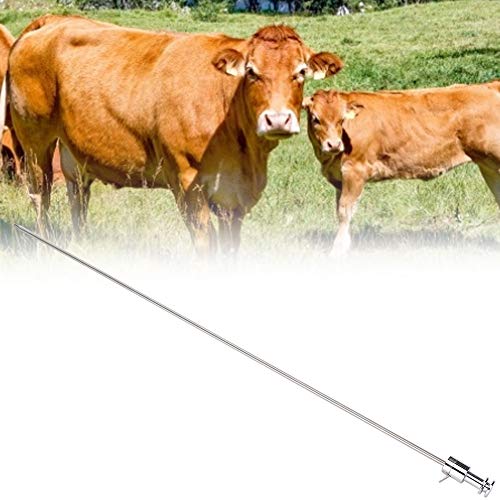Cosiki Juli-Geschenk Rinder-Edelstahl-Besamungsnadel, Rinder-Besamungsrohr, Snap Spring-Haustiere für Rinder(Small circlip Cattle Insemination Gun) von Cosiki
