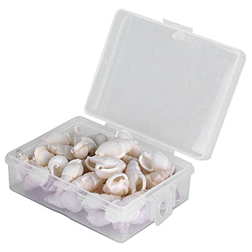 Cosiki Sea Snail, DIY Conch Schmuckhandwerk DIY Conch Home Shells Sea Snail Dekoration Hochzeitsdekorationen Orament von Cosiki