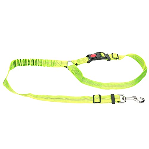 Hunde-Sicherheitsgurt Fürs Auto, Crash-geprüfter Hunde-Sicherheitsgurt, Reflektierender Nylon-Sicherheitsgurt für Hunde, Sicherheitsgurt für Hunde, Hunde-Sicherheitsgurte, Hunde-Sicherheitsgurt Fürs Auto, Crash-geprüfter Hunde-Sicherheitsgurt, Reflektierender Nylon-Sicherheitsgurt für Hunde, Sicherheitsgurt für Hunde, Hunde-Sicherheitsgurte, von Cosiki