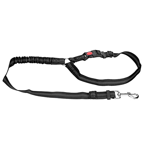 Cosiki Hunde-Sicherheitsgurt Fürs Auto, Crash-geprüfter Hunde-Sicherheitsgurt, Reflektierender Nylon-Sicherheitsgurt für Hunde, Sicherheitsgurt für Hunde, Hunde-Sicherheitsgurte, Cosiki Hunde-Sicherheitsgurt Fürs Auto, Crash-geprüfter Hunde-Sicherheitsgurt, Reflektierender Nylon-Sicherheitsgurt für Hunde, Sicherheitsgurt für Hunde, Hunde-Sicherheitsgurte, von Cosiki
