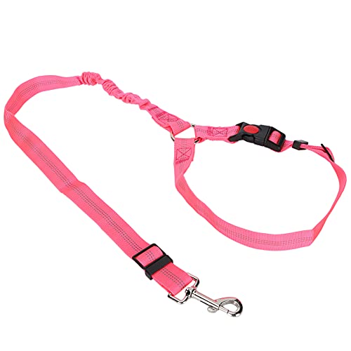 Cosiki Hunde-Sicherheitsgurt Fürs Auto, Crash-geprüfter Hunde-Sicherheitsgurt, Reflektierender Nylon-Sicherheitsgurt für Hunde, Sicherheitsgurt für Hunde, Hunde-Sicherheitsgurte, Cosiki Hunde-Sicherheitsgurt Fürs Auto, Crash-geprüfter Hunde-Sicherheitsgurt, Reflektierender Nylon-Sicherheitsgurt für Hunde, Sicherheitsgurt für Hunde, Hunde-Sicherheitsgurte, von Cosiki