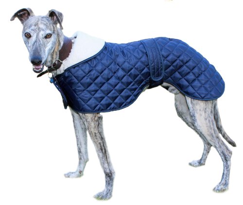 Cosipet Greyhound Anorak, Jacke für Hunde, blau von Cosipet