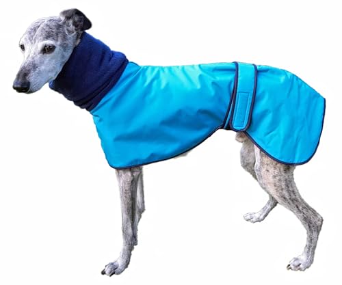 Windhund-Poloshirt, wasserdicht, Aquamarin, 56 cm von Cosipet