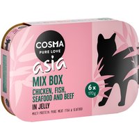 Probierpaket Cosma Asia in Jelly - 6 x 170 g - Mix II (5 Sorten gemischt) von Cosma