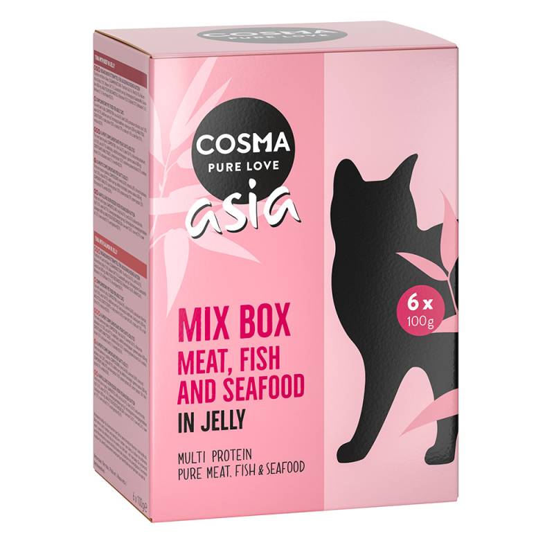 Sparpaket Cosma Asia Frischebeutel 24 x 100 g - Mixpaket (6 Sorten) von Cosma