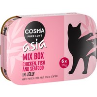 Sparpaket Cosma Asia in Jelly 24 x 170 g - Mix I (4 Sorten gemischt) von Cosma