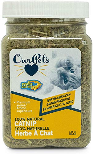(4 Pack) OurPets Premium North-American Grown Catnip 1.25 Ounce Jar for Cats von Cosmic Pet