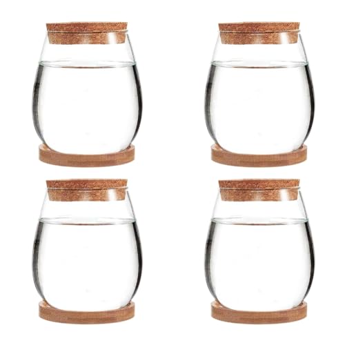 Cosmin 4 Stück Mini-Terrarien-Glasvase, transparent, erdfrei, grün, wie abgebildet, Glas, Garten, Wohnzimmer, Zuhause, Tischdekoration von Cosmin