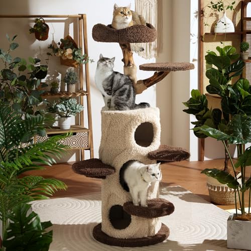 Luxuriöser Katzenbaum für große Katzen im Innenbereich, 137 cm hoch, moderner Holz-Katzenturm mit 3 Ebenen, 4 x gemütliche Sitzstangen, 1 x weiches Sichtbett, strapazierfähiger, breiter Boden, Luxuriöser Katzenbaum für große Katzen im Innenbereich, 137 cm hoch, moderner Holz-Katzenturm mit 3 Ebenen, 4 x gemütliche Sitzstangen, 1 x weiches Sichtbett, strapazierfähiger, breiter Boden, von Couner