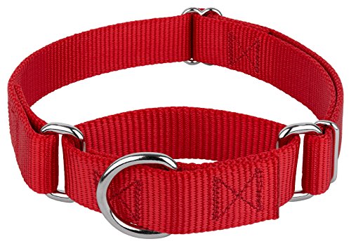 Country Brook Design - Martingale Hundehalsband, Nylon, strapazierfähig, Größe M, 2,5 cm breit, Rot von Country Brook Design
