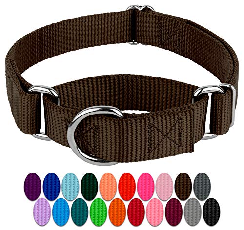 Country Brook Petz Hundehalsband, Martingale, Nylon, robust, 21 Farben (2,5 cm breit, mittel) von Country Brook Design